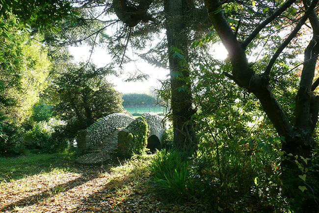 Allerwater Hall The Magical Water Garden