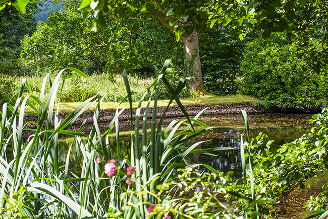 Allerwater Hall The Mill Pond