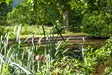 Allerwater Hall The Mill Pond