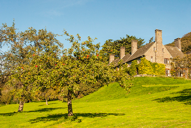 Allerwater Hall From The Apple Trees