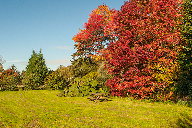 Allerwater Hall The Secluded Bottom Feild